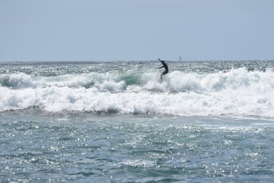 DSC_0466.JPG