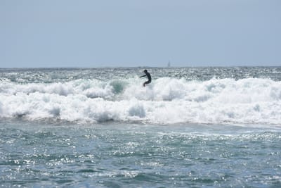 DSC_0467.JPG