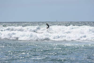 DSC_0468.JPG