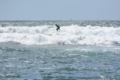 DSC_0469.JPG