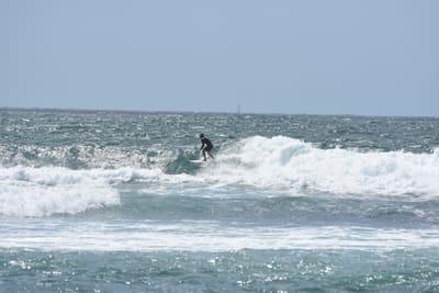 DSC_0470.JPG