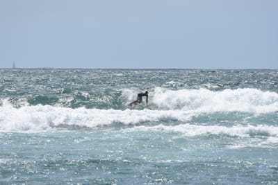 DSC_0502.JPG