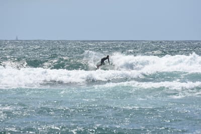 DSC_0503.JPG