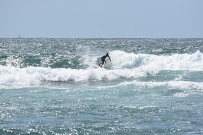 DSC_0504.JPG