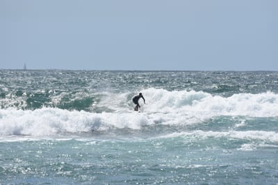 DSC_0505.JPG