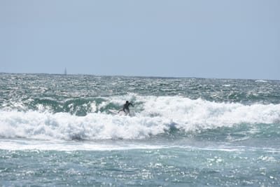 DSC_0508.JPG