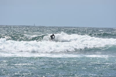 DSC_0509.JPG