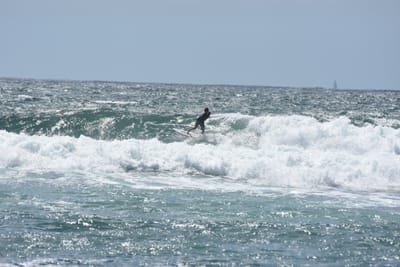 DSC_0510.JPG