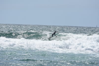 DSC_0511.JPG