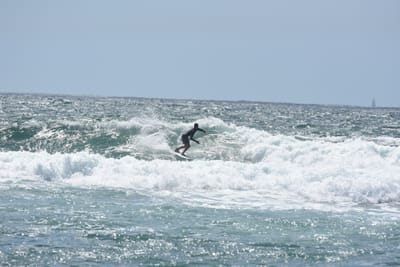 DSC_0512.JPG