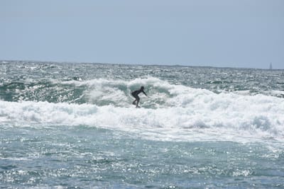 DSC_0513.JPG