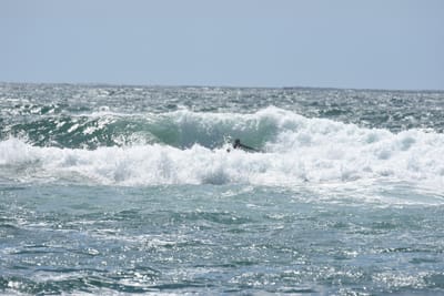 DSC_0514.JPG