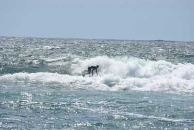 DSC_0515.JPG