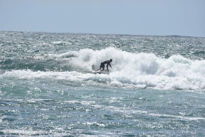 DSC_0516.JPG