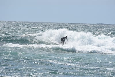 DSC_0517.JPG