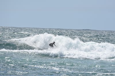 DSC_0518.JPG