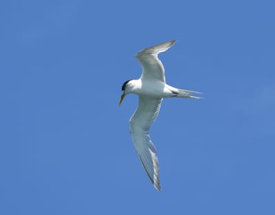 DSC_0579.JPG
