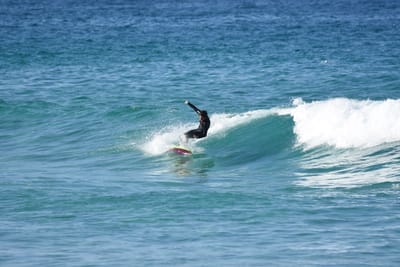 DSC_3585.JPG