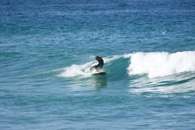 DSC_3586.JPG
