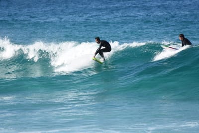 DSC_3595.JPG
