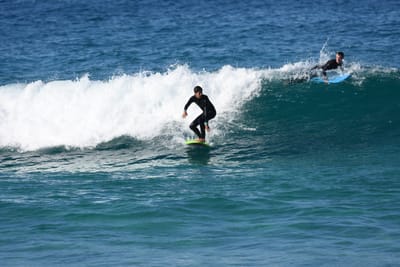 DSC_3633.JPG