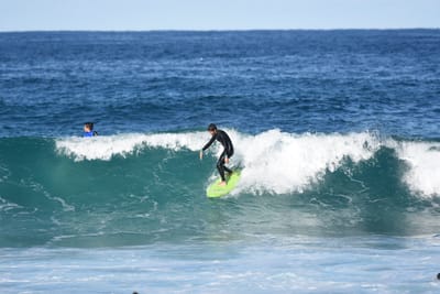 DSC_3650.JPG