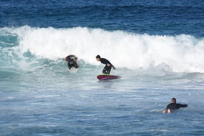 DSC_3657.JPG