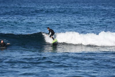 DSC_3663.JPG