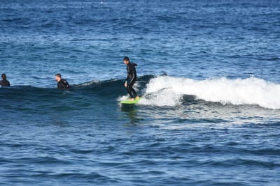 DSC_3665.JPG