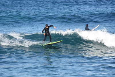 DSC_3677.JPG