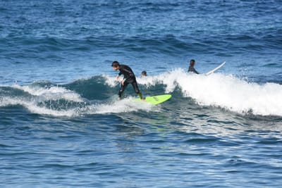 DSC_3678.JPG