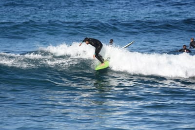 DSC_3681.JPG