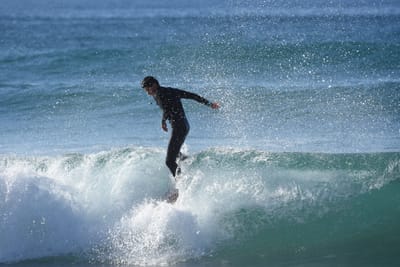 DSC_3738.JPG