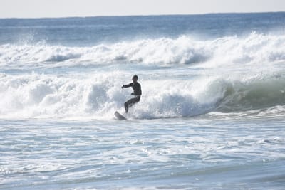 DSC_3772.JPG