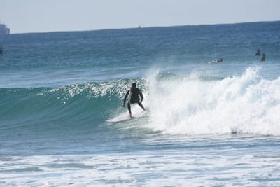 DSC_3825.JPG