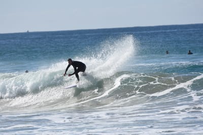 DSC_3830.JPG