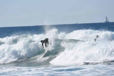 DSC_3838.JPG