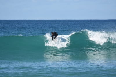 DSC_3853.JPG