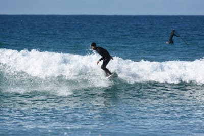 DSC_3866.JPG