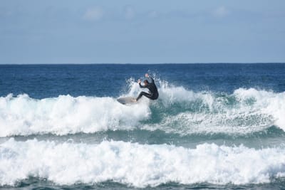 DSC_3890.JPG