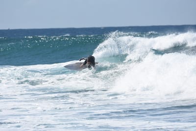DSC_3930.JPG