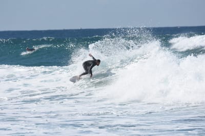 DSC_3933.JPG