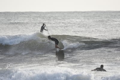 DSC_0019.JPG