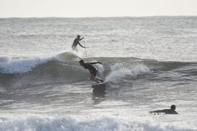 DSC_0020.JPG