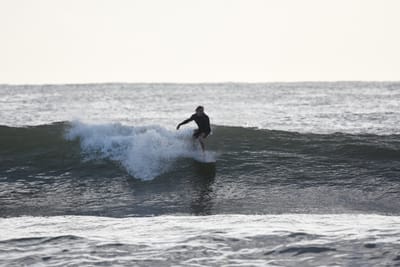 DSC_0044.JPG