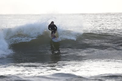 DSC_0063.JPG