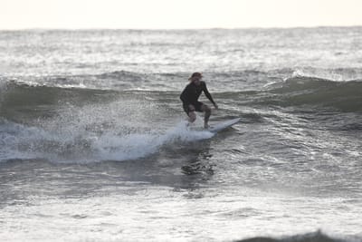 DSC_0070.JPG