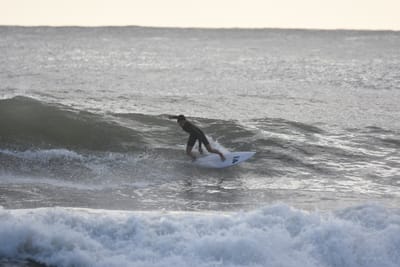 DSC_0090.JPG
