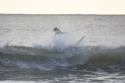DSC_0102.JPG