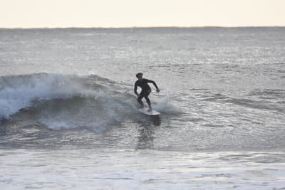 DSC_0110.JPG